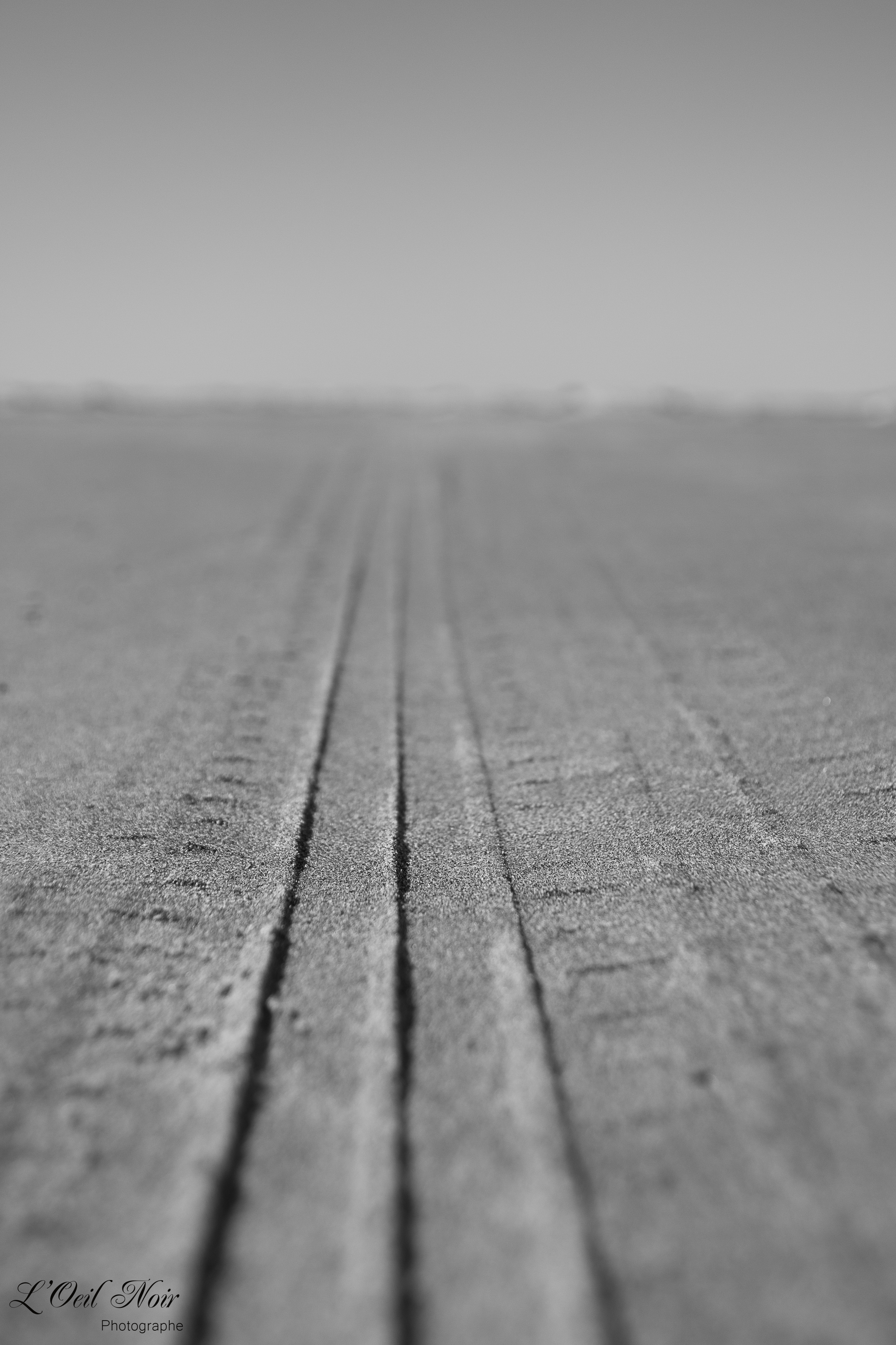 L' Oeil Noir Photographe